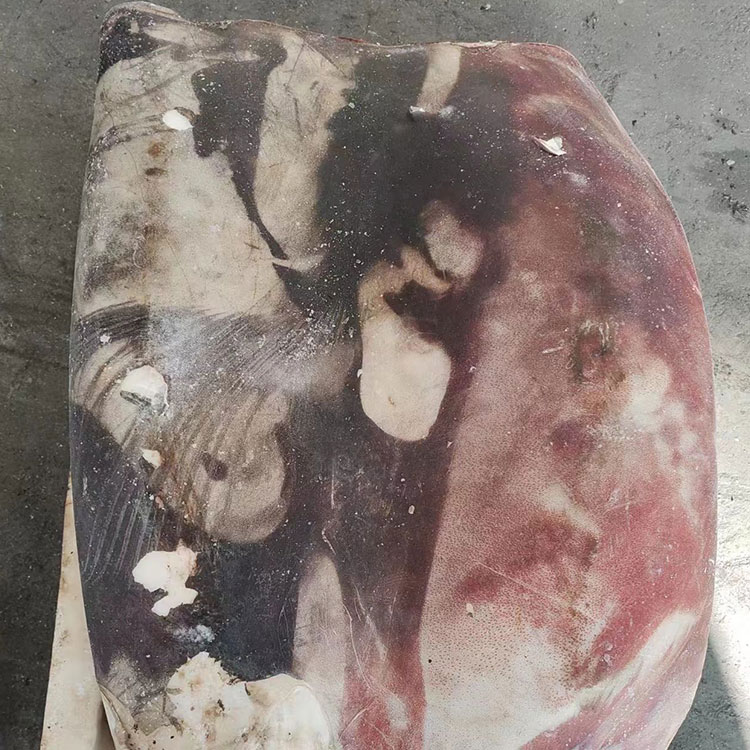 FILETE DE Calamar GIGANTE Congelado CON PIEL