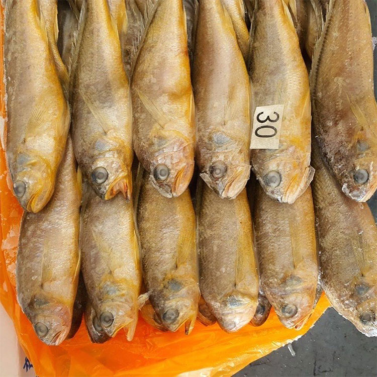 Corvina Amarilla Congelada